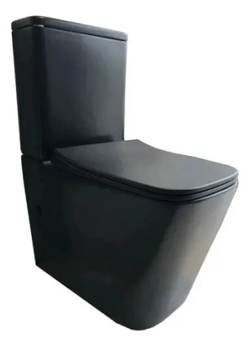 775628-MLU81954653672_022025