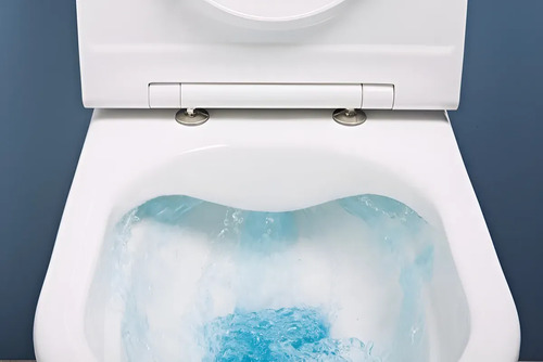 784712-MLU107005365331_022026