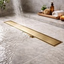 885525-MLA107533476044_032026