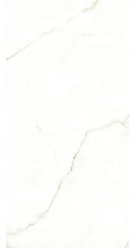 806176-MLU80279995233_102024