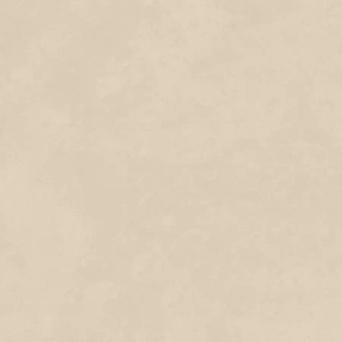 859025-MLU80025169050_102024