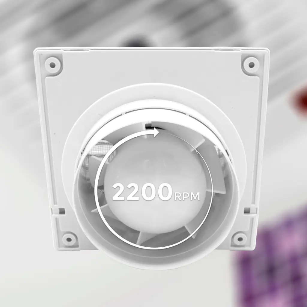 2642.2-1.webp