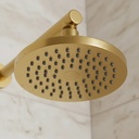 Ducha Baño Articulada Redonda 200mm Gold Fv Acra