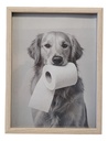 Cuadro Decorativo Para Baño Golden Retriever Acra