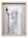 Cuadro Decorativo Para Baño Gato Acra