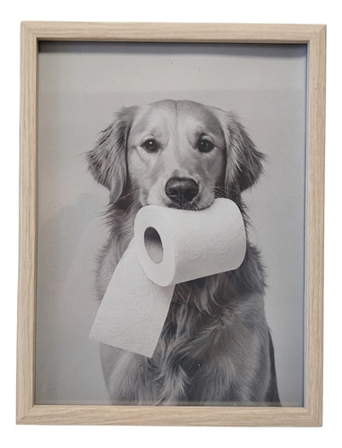 [MLU1509039562] Cuadro Decorativo Para Baño Golden Retriever Acra