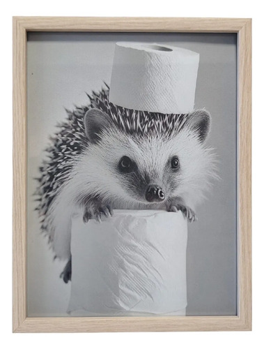 [MLU700885135] Cuadro Decorativo Para Baño Erizo Con Papel Higiénico Acra